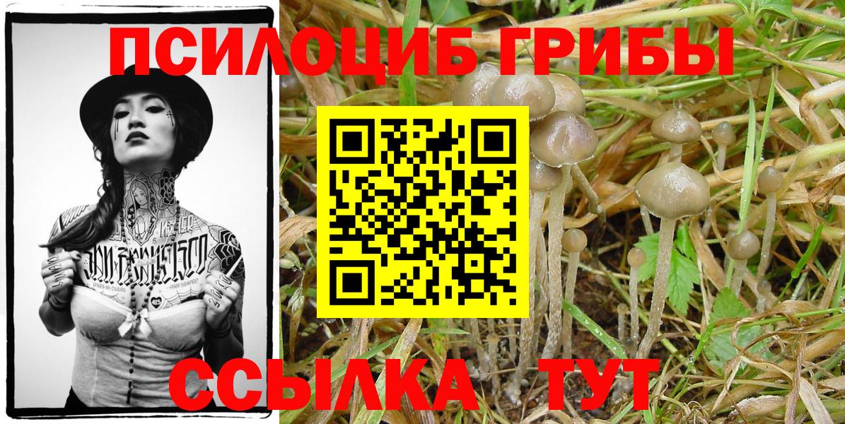 Галлюциногенные грибы GOLDEN TEACHER Йошкар-Ола