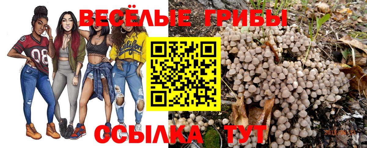 Йошкар-Ола  Псилоцибиновые грибы мицелий  Псилоцибиновые грибы Magic Shrooms  Вход с VPN 
