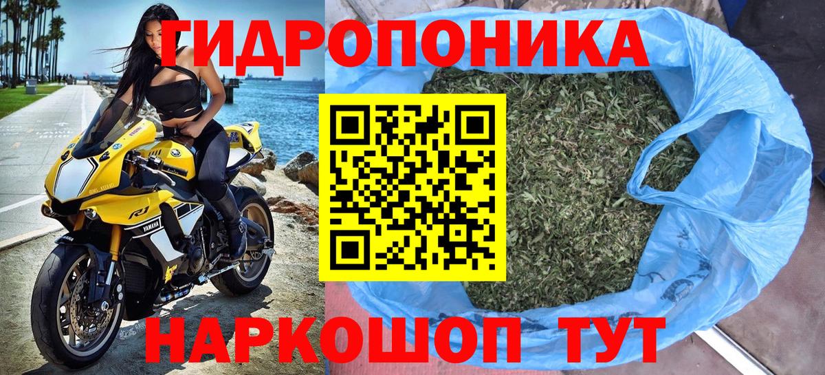 Канабис конопля Йошкар-Ола